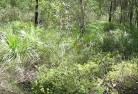 Lakelands NSWsustainable-landscaping-21.jpg; ?>